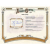 4_5c4557ee-a6cc-4a98-9968-7b61a6c6a560 2025 Topps Allen & Ginter Baseball Fat Pack