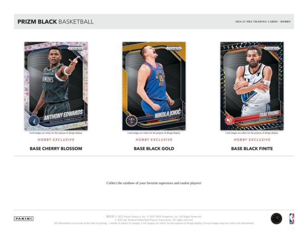 910462-2 2024/25 Panini Prizm Black Basketball Hobby